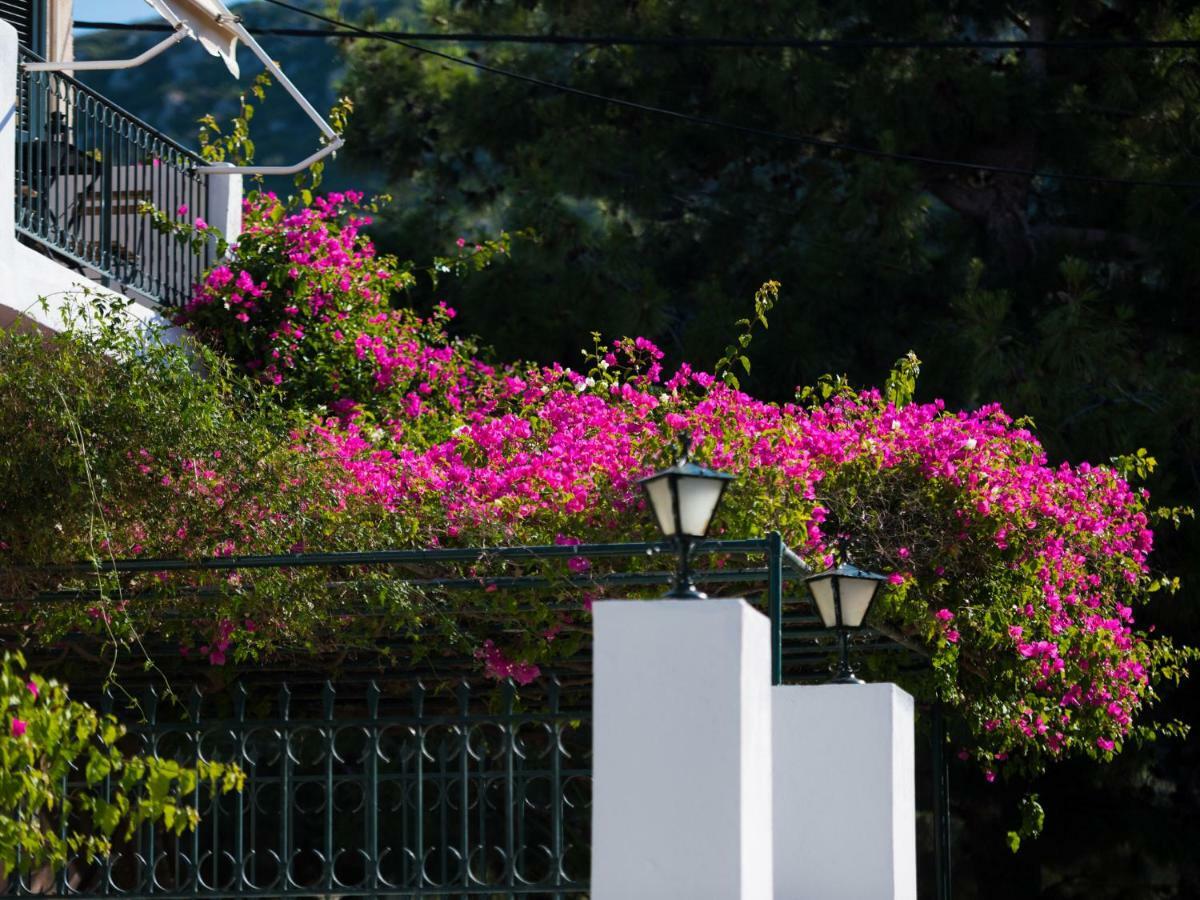 Casa Buganvilla Minia Exterior foto